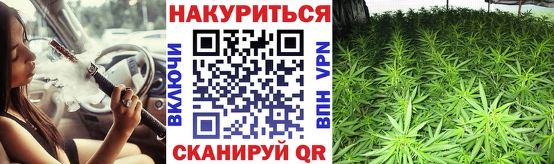 Каннабис ГИДРОПОН Сочи